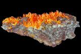 Mimetite Crystal Cluster - Rowley Mine, AZ #76896-2
